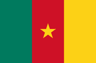 national flag of Cameroon