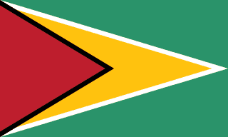 national flag of Guyana