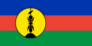 national flag of New Caledonia