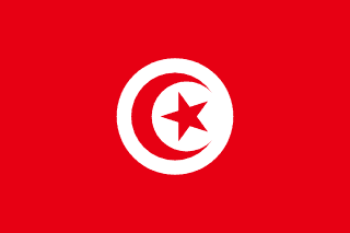 national flag of Tunisia